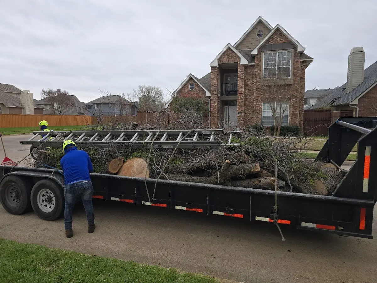 Expert Lot Clearing with proper safety equipment in Wolfforth